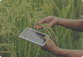 Drone Data Analytics