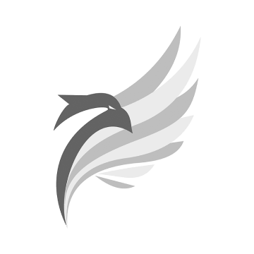 Drone Data Analytics